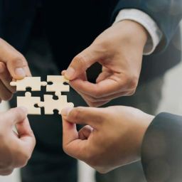 Strategic Partners
