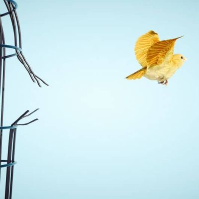 SummaryCard_Disruption_Delivery Capability