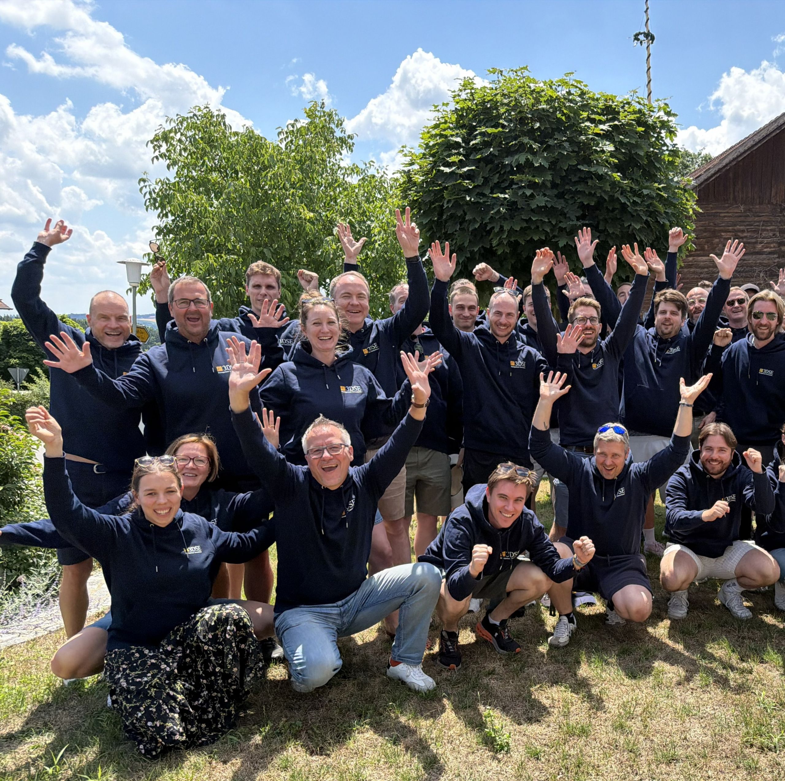3DSE Team